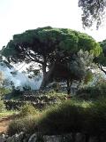sizilien-mallorca 277